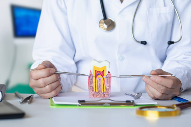 Best Emergency Dentist for Knocked-Out Tooth in Hamilton, IN